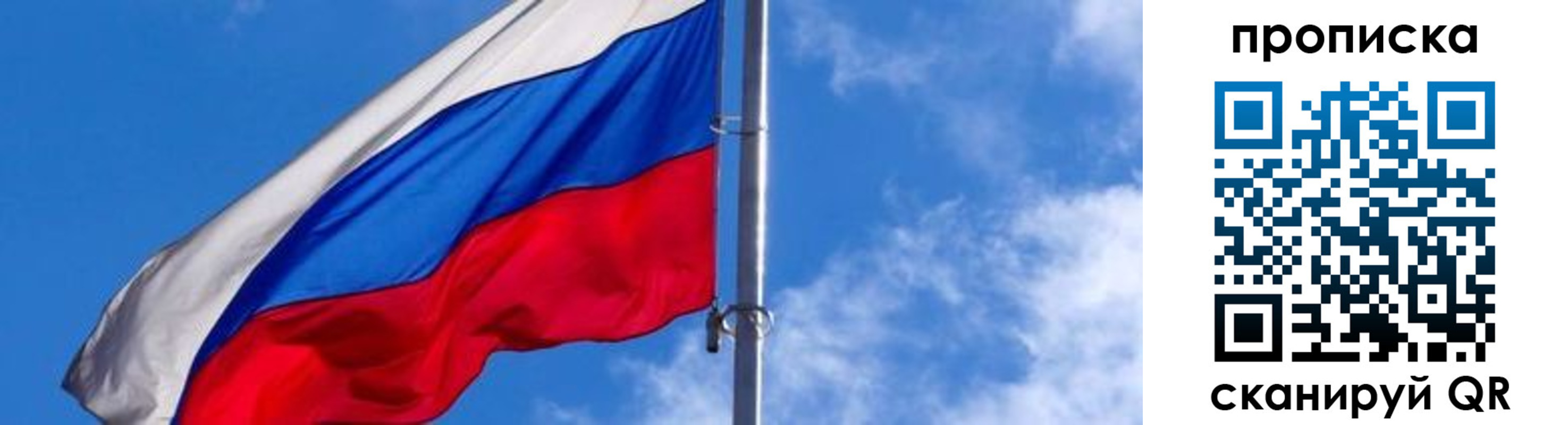 прописка поиск в Шебекино